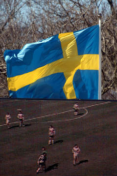 Flagga, Sverige, storbildstv, tv