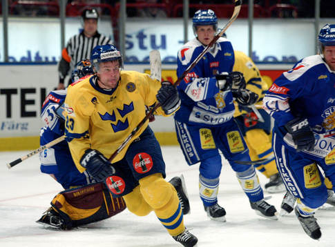 Ronnie Sundin, Sverige