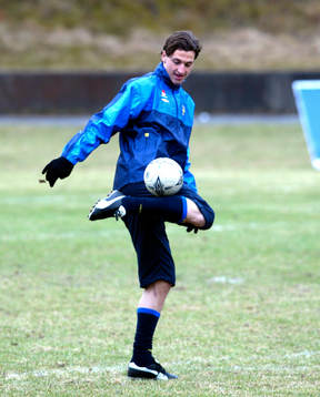 Zlatan Ibrahimovic leker