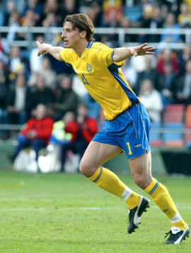 Zlatan Ibrahimovic gjorde Sveriges enda mål. Jubel