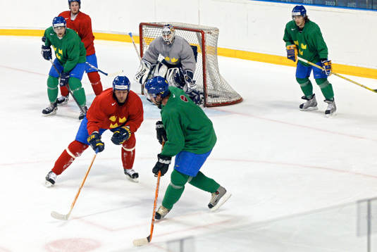 Ishockey, VM, Träning Sverige