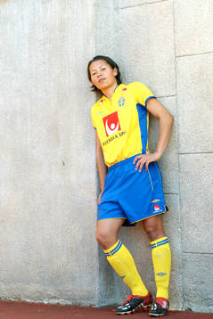 Jane Törnqvist, Sverige