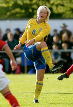 Nilla Fischer, Sverige