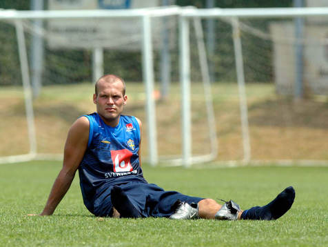 Fredrik Ljungberg, Sverige