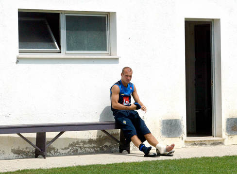Fredrik Ljungberg, Sverige