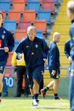 Fredrik Ljungberg, Sverige