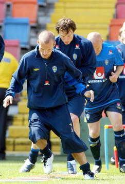 Fredrik Ljungberg, Sverige