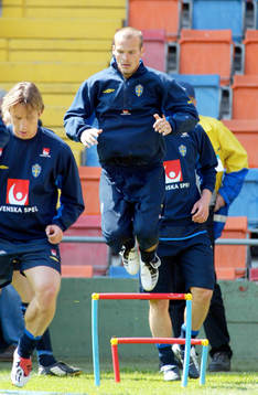 Fredrik Ljungberg, Sverige
