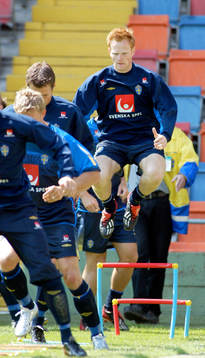Michael Svensson, Sverige