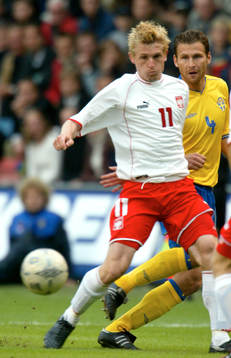 Artur Wichniarek, Polen