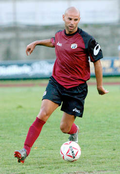 Stellone, Reggina