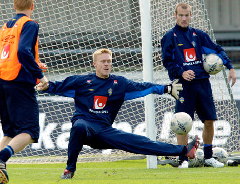 Fredrik Sundfors, Sverige