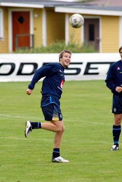 Pontus Farnerud, Sverige