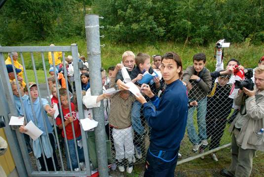 Zlatan Ibrahimovic, Sverige
