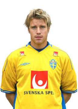 Pontus Farnerud, Sverige
