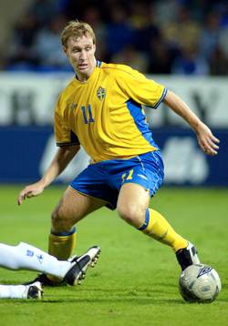 Niklas Skoog, Sverige