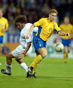 Niklas Skoog, Sverige