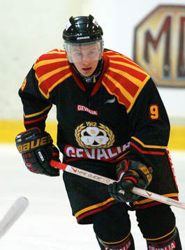 Henrik Malmström, Brynäs