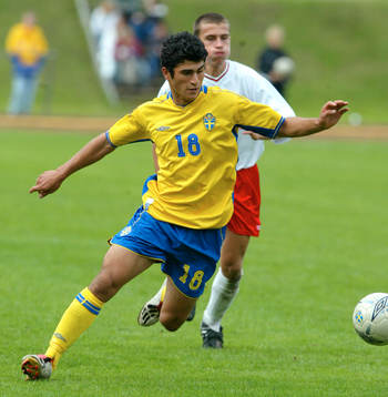 Peyman Zarifnejad, Sverige
