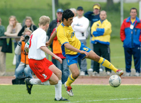 Peyman Zarifnejad, Sverige i aktion