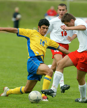 Peyman Zarifnejad, Sverige i aktion