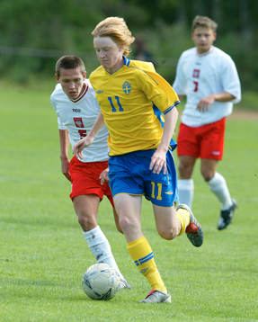 Rasmus Elm, Sverige