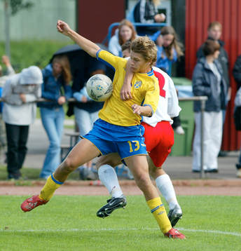 Fredrik Holster, Sverige
