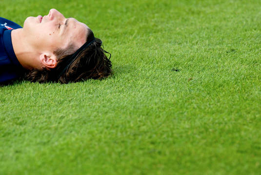 Zlatan Ibrahimovic, Sverige