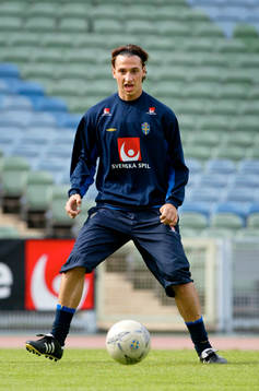 Zlatan Ibrahimovic, Sverige