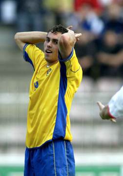 Johan Elmander, Sverige