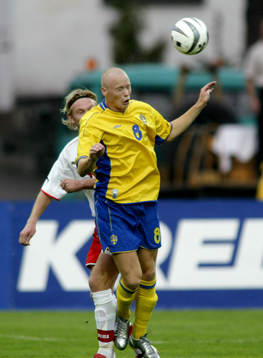Alexander Farnerud, Sverige