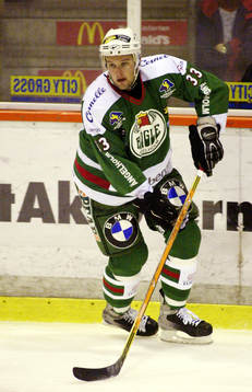 Ishockey, Allsvenskan, Magnus Hermansson, Rögle