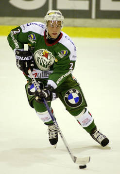 Ishockey, Allsvenskan, Daniel Wågström, Rögle