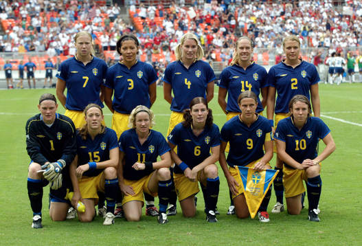 Lagbild, Sverige