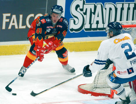 Richard Lintner, Djurgården