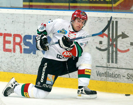 Peter Högardh, Modo