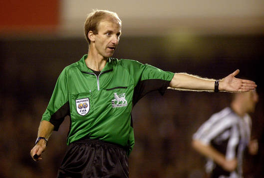 Mike Riley, domare
