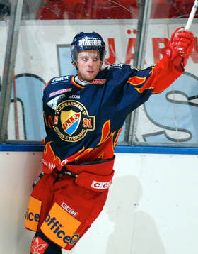 Richard Lintner, Djurgården