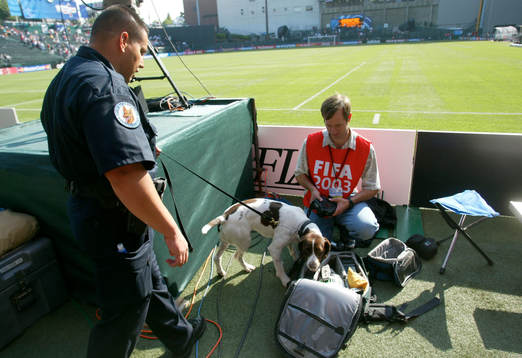 Bombhundar sökte igenom stadion före matchen