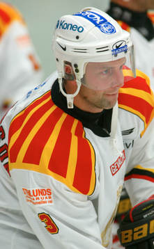Daniel Johansson, Brynäs