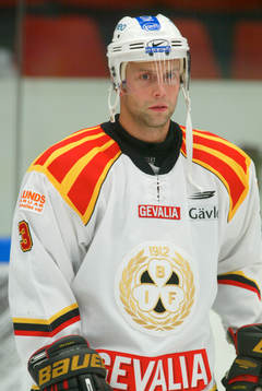 Daniel Johansson, Brynäs