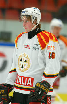 Mattias Karlsson, Brynäs