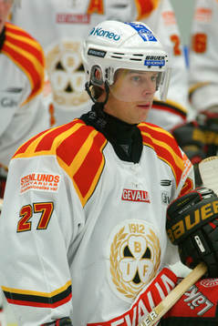 Niklas Anger, Brynäs