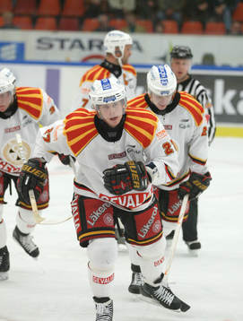 Niklas Anger, Brynäs