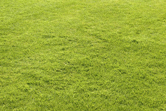Fotboll, fotbollsplan, gräs, gräsplan