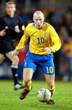 Alexander Farnerud, Sverige