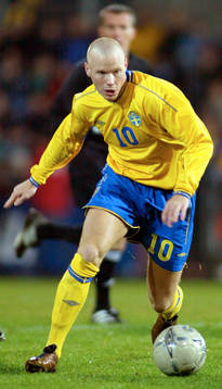 Alexander Farnerud, Sverige