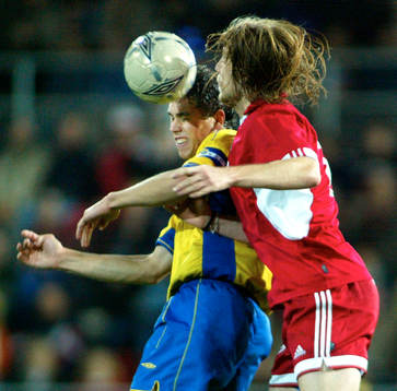 Johan Elmander, Sverige