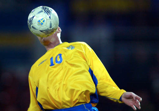 Alexander Farnerud, Sverige