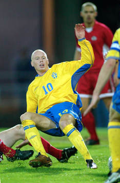 Alexander Farnerud, Sverige